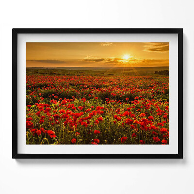 Obraz s rámem Krajina louky květů máku