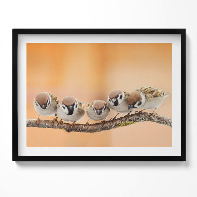 Obraz s rámem Ptáci na větvi