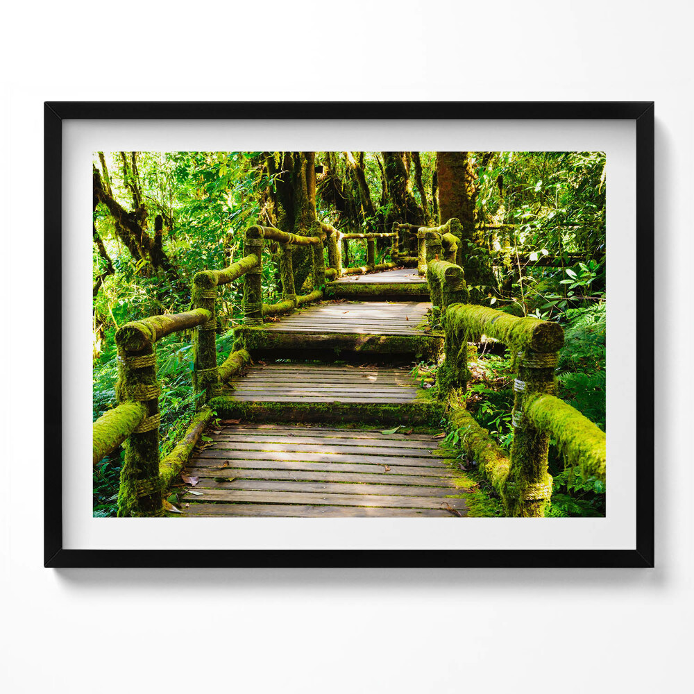 Obraz s rámem Dřevěný chodník - agroturistika