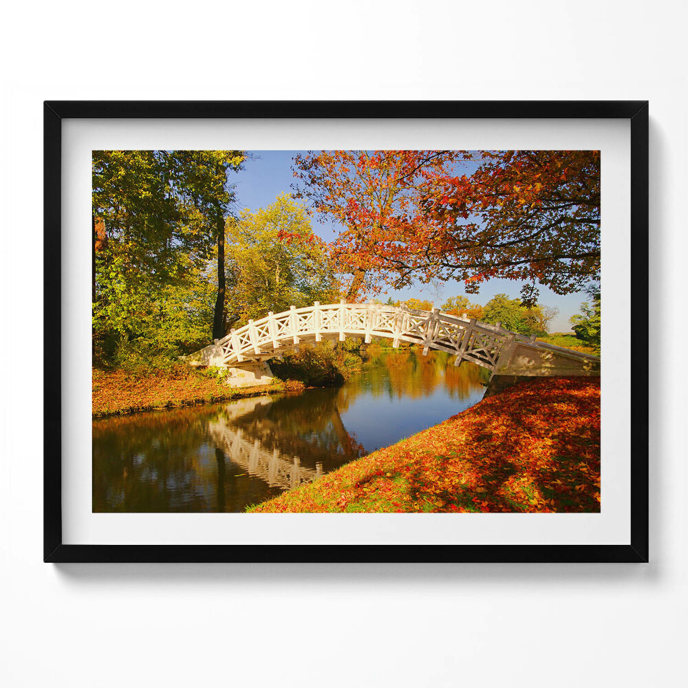 Obraz s rámem Woerlitzer Park ve zlatém podzimu