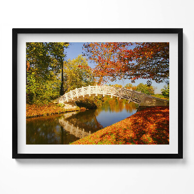 Obraz s rámem Woerlitzer Park ve zlatém podzimu