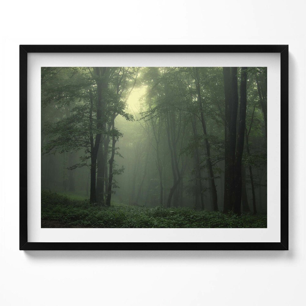 Obraz s rámem Mlžný les ráno