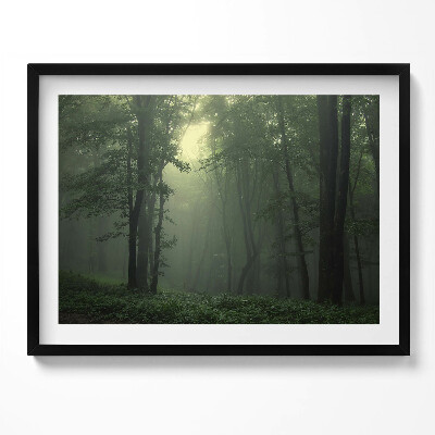 Obraz s rámem Mlžný les ráno