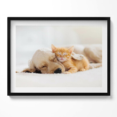Obraz s rámem Spící zvířata kočka a pes
