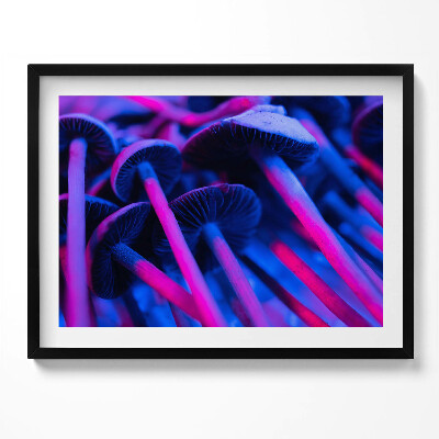 Obraz s rámem Kouzelné barevné houby