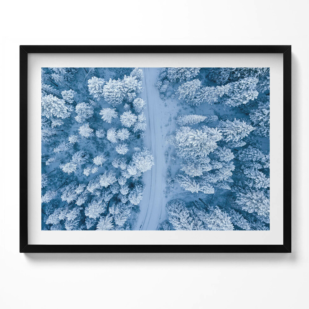 Obraz s rámem Les z ptačí perspektivy