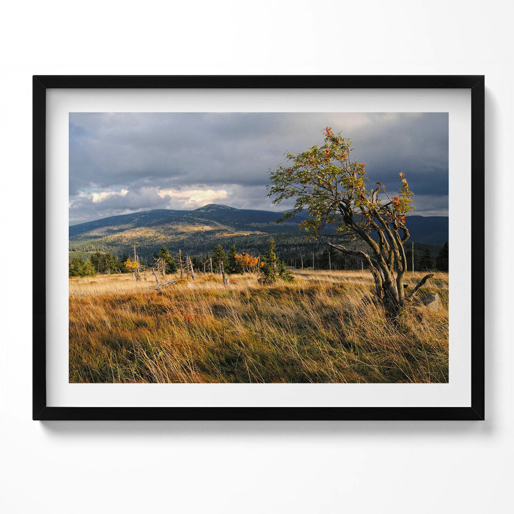 Obraz s rámem Krkonoše na podzim