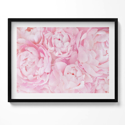 Obraz s rámem Jemné pivoňky
