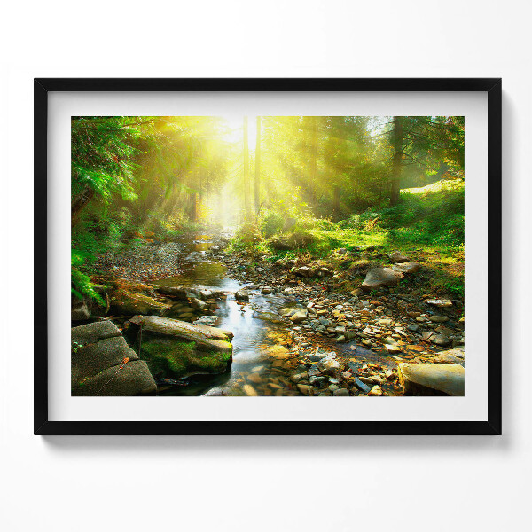 Obraz s rámem Lesní potok ve slunečním světle