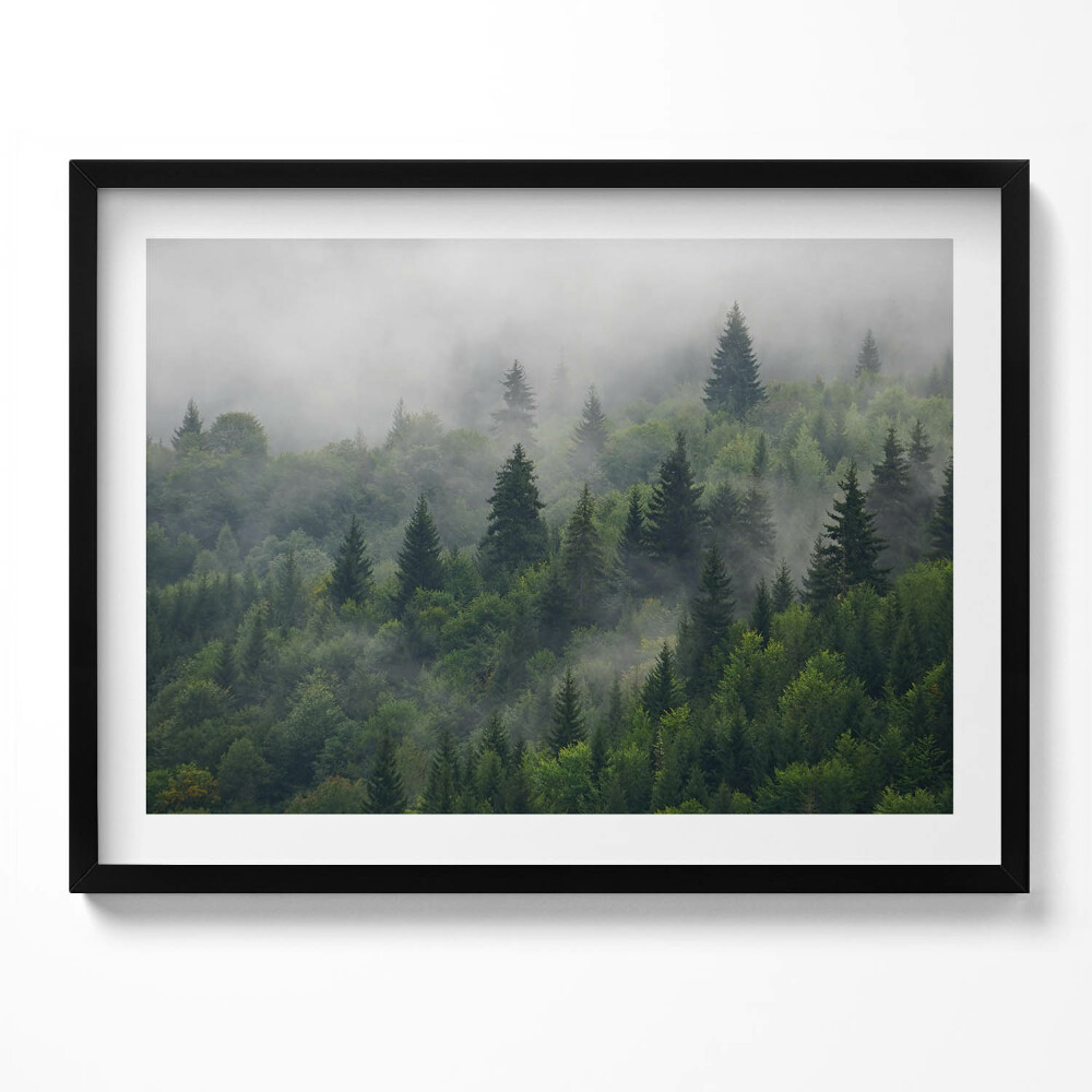 Obraz s rámem Lesní krajina v mlze