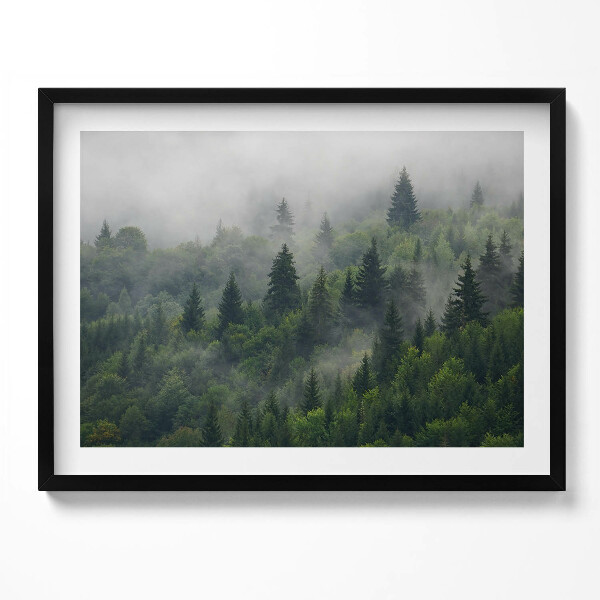 Obraz s rámem Lesní krajina v mlze