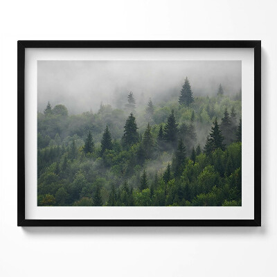 Obraz s rámem Lesní krajina v mlze