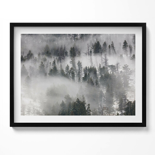 Obraz s rámem Zamlžená lesní krajina