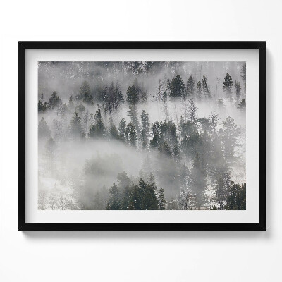 Obraz s rámem Zamlžená lesní krajina