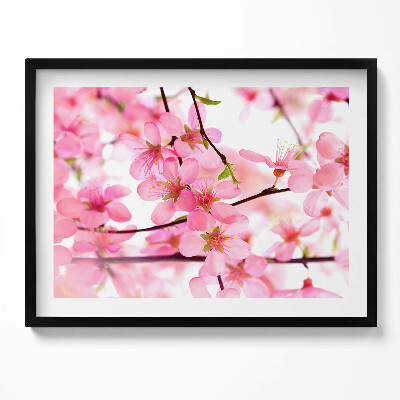 Obraz s rámem Růžové jarní květiny na větvích