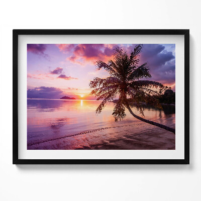 Obraz s rámem Palma na pláži při západu slunce