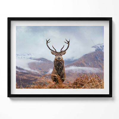 Obraz s rámem Jelen na horské mýtině