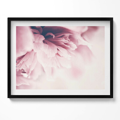 Obraz s rámem Detailní záběr na okvětní lístky pivoňky