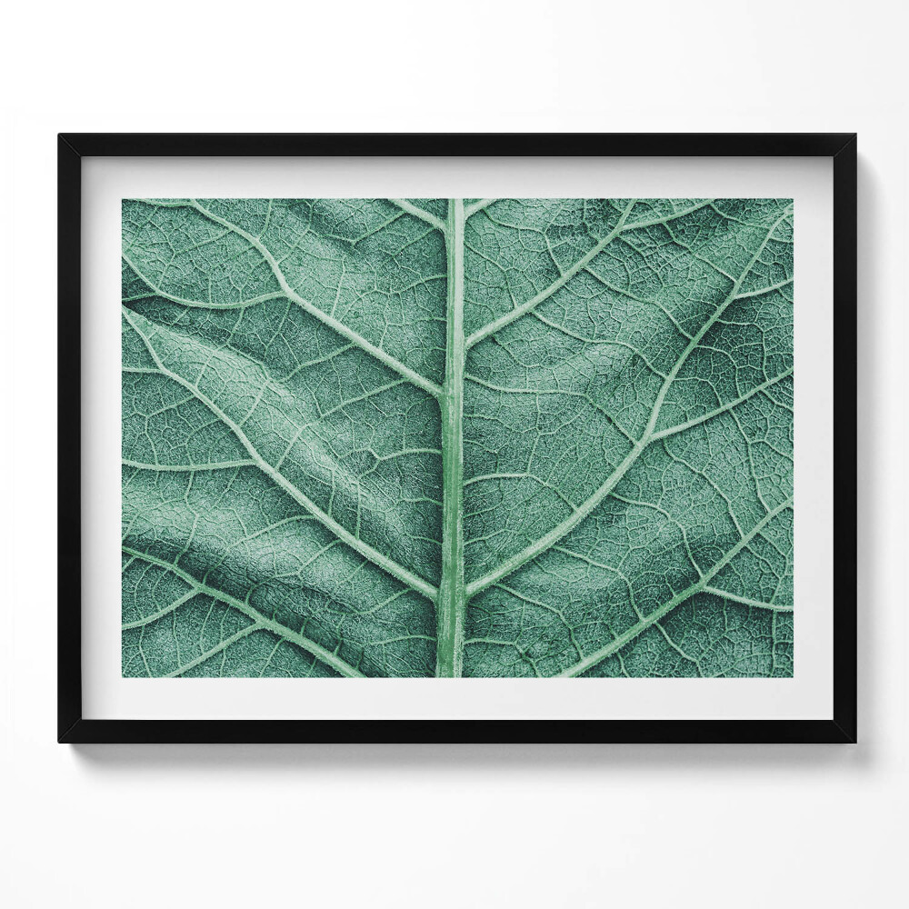 Obraz s rámem Detail listových žil