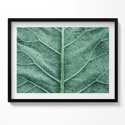 Obraz s rámem Detail listových žil