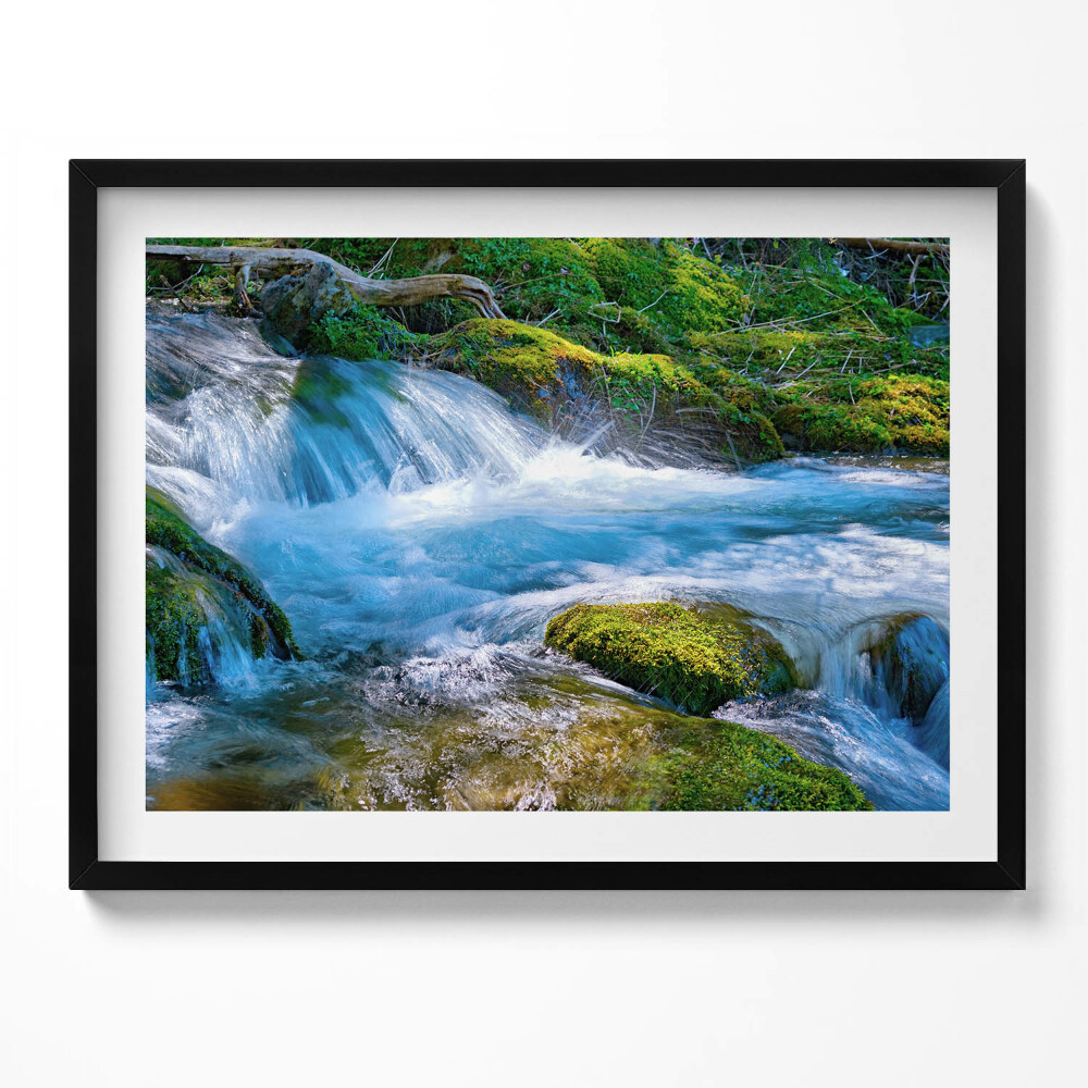 Obraz s rámem Zurčící potok v lese