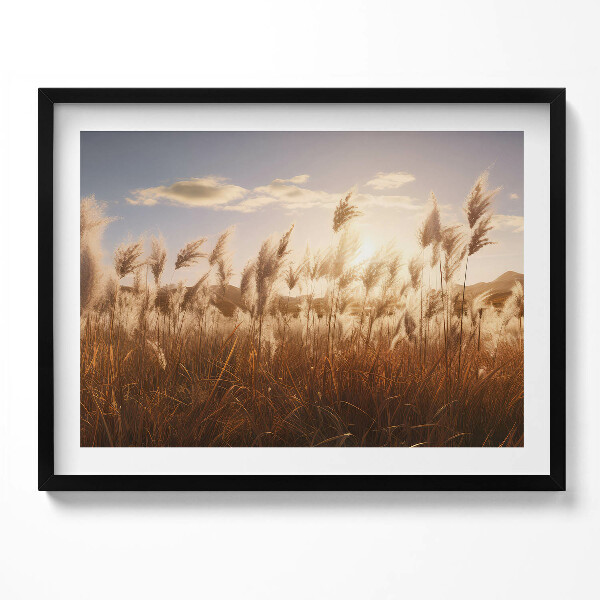 Obraz s rámem Romantický západ slunce nad trávou