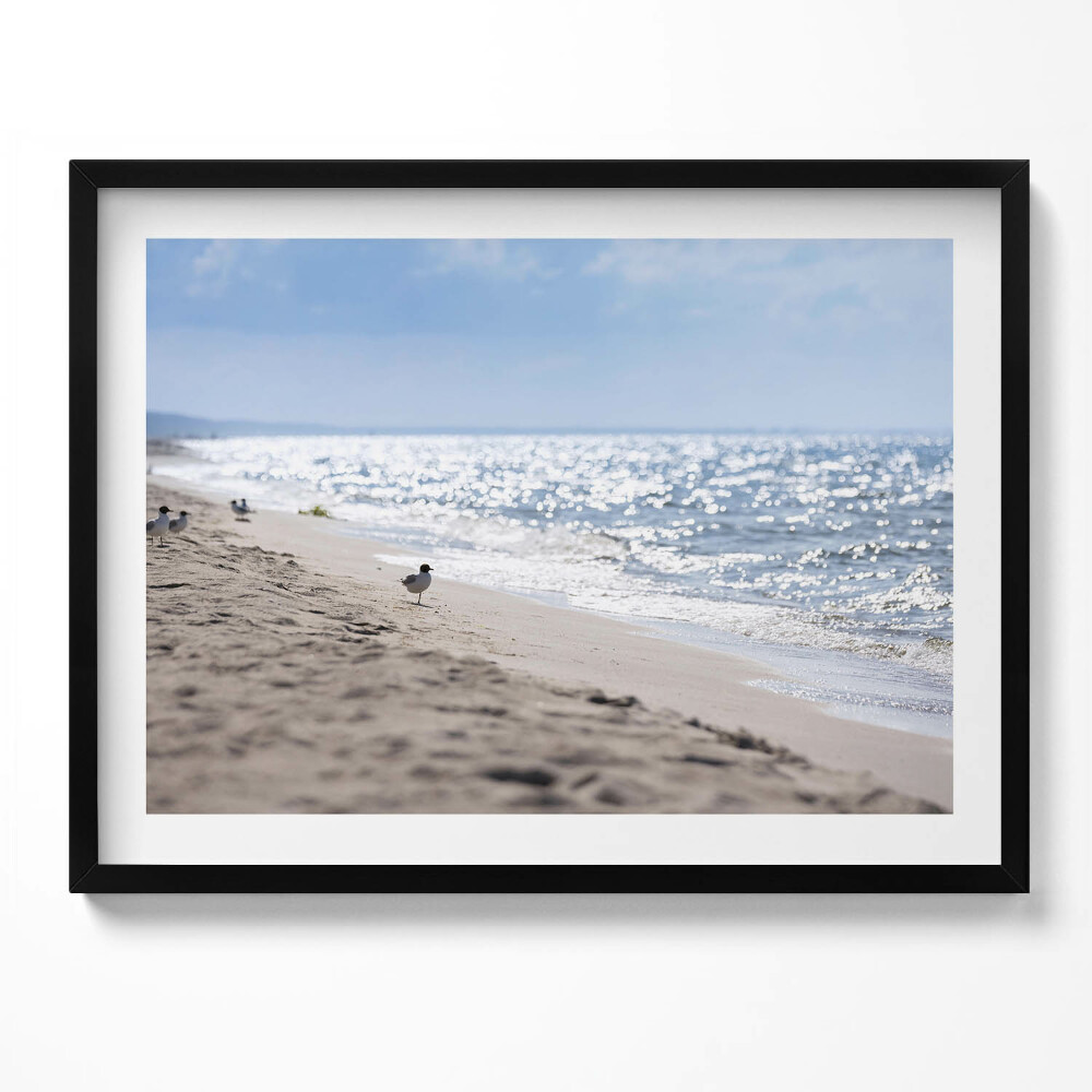 Obraz s rámem Mořské vlny a pták na pláži