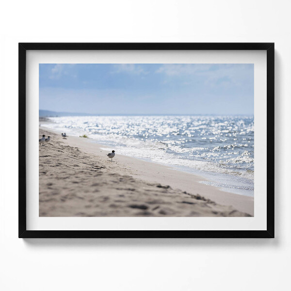 Obraz s rámem Mořské vlny a pták na pláži