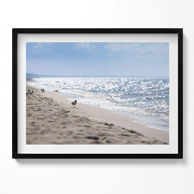 Obraz s rámem Mořské vlny a pták na pláži