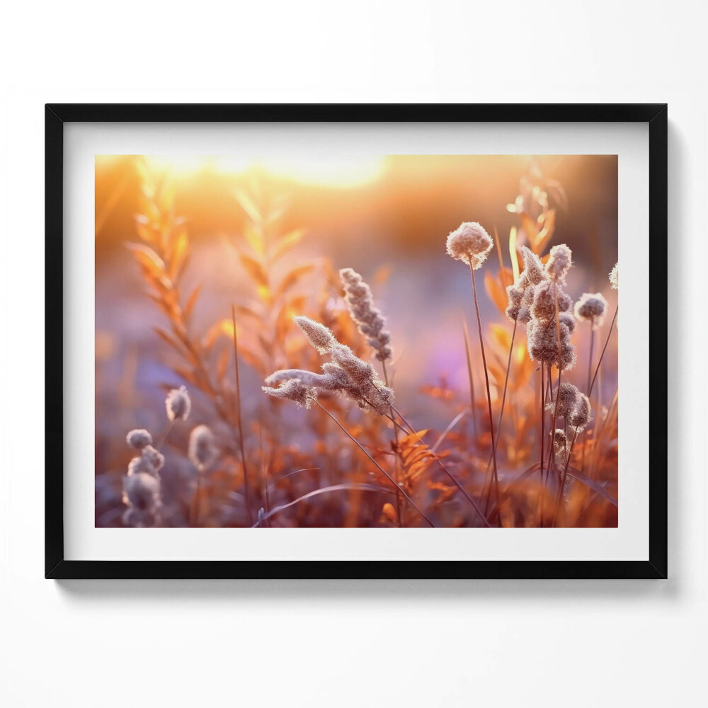 Obraz s rámem Boho tráva při východu slunce