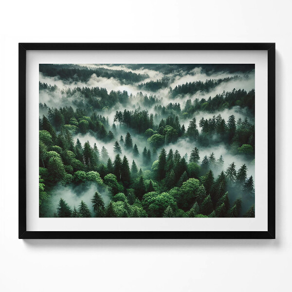 Obraz s rámem Krajina ranní mlhy v lese