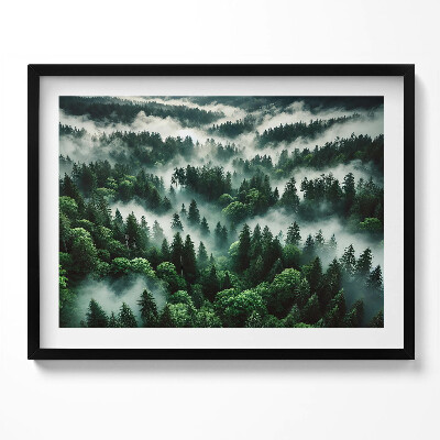 Obraz s rámem Krajina ranní mlhy v lese