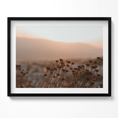 Obraz s rámem Boho romantická tráva krajina