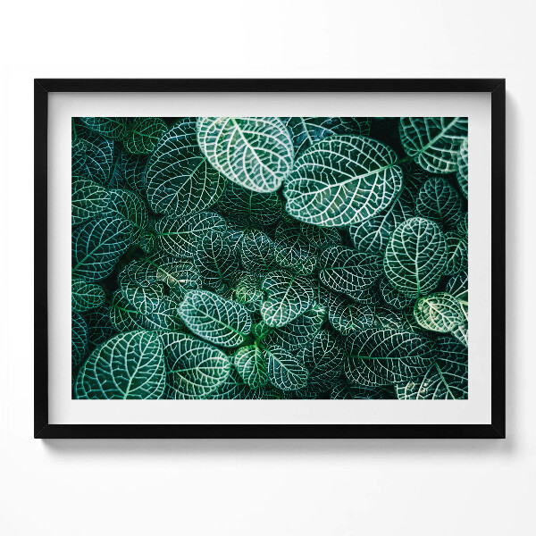 Obraz s rámem Zelené divoké listy