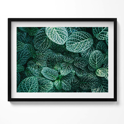 Obraz s rámem Zelené divoké listy