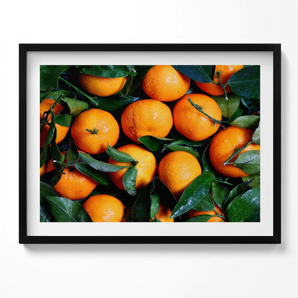Obraz s rámem Zralé italské pomeranče