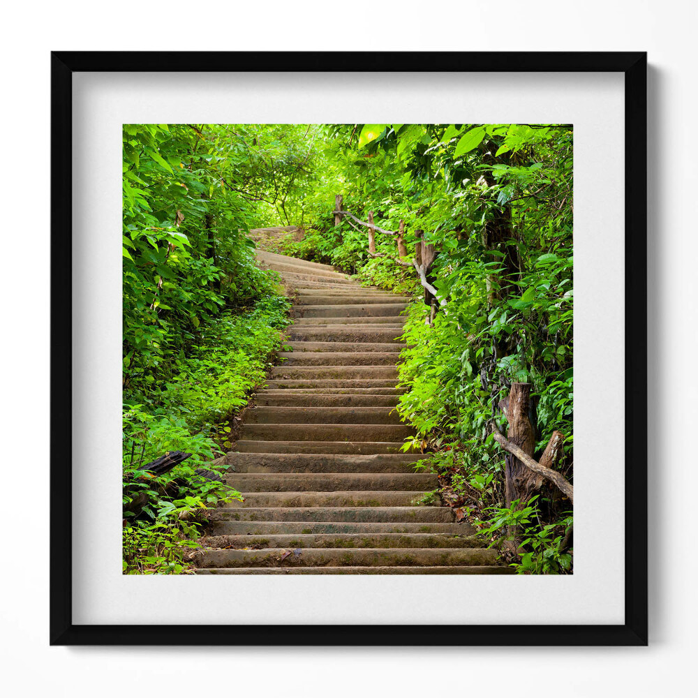 Obraz v rámu efektivní Schody uprostřed lesa
