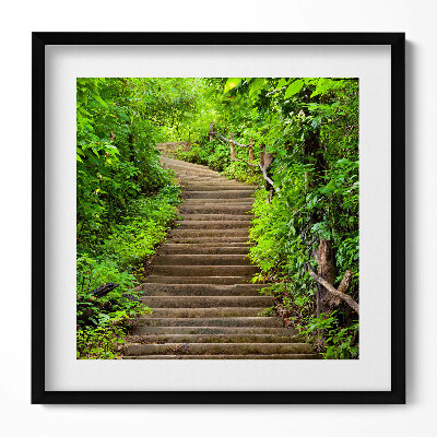 Obraz v rámu efektivní Schody uprostřed lesa