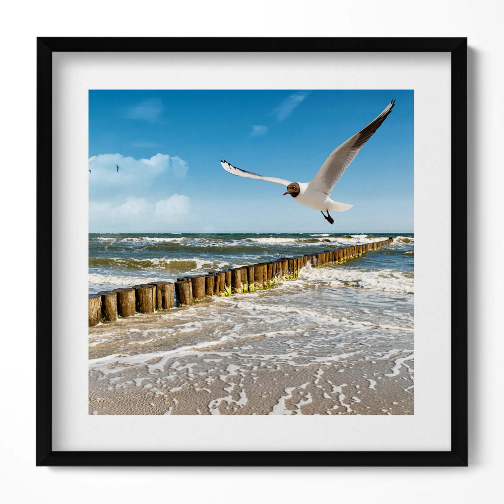 Obraz v rámu efektivní Pták u moře