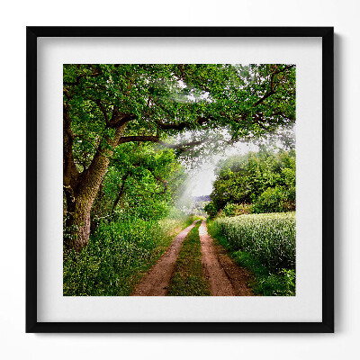 Obraz v rámu efektivní Cesta, stromy a sluneční paprsky