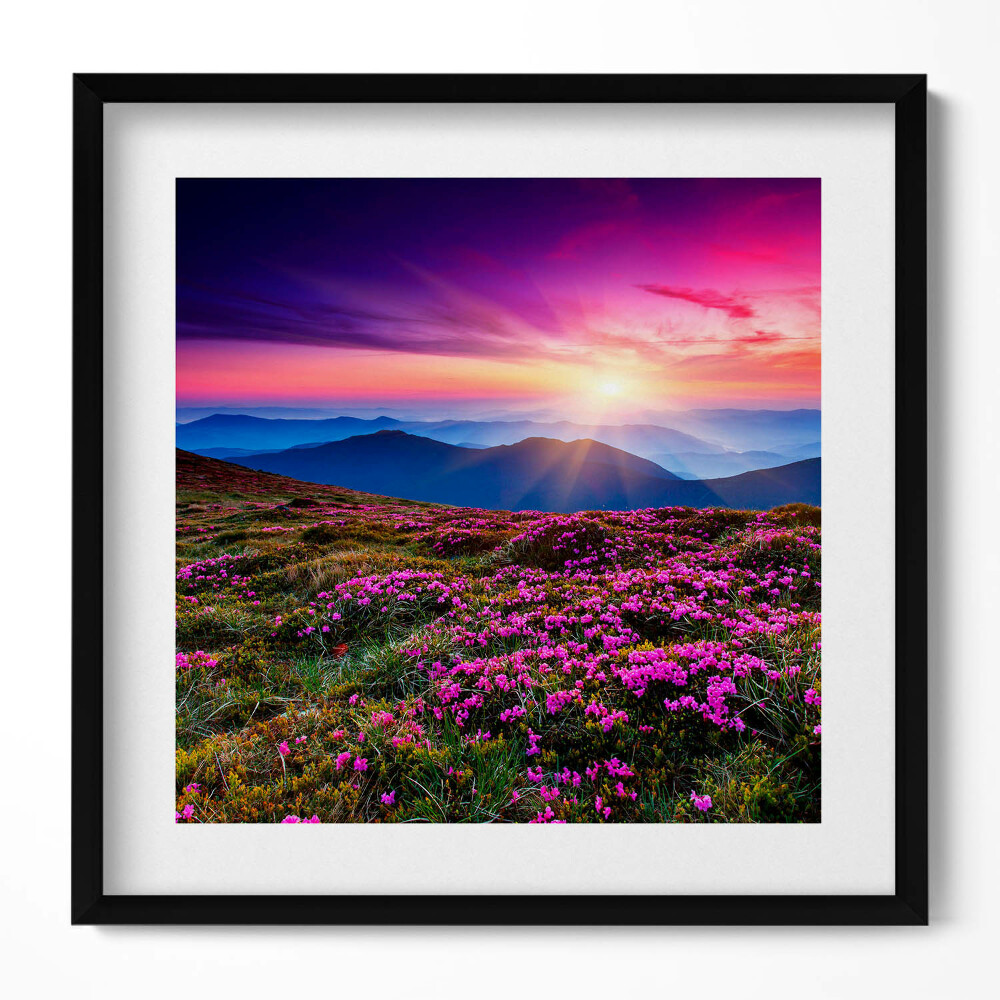 Obraz v rámu efektivní Východ slunce květiny