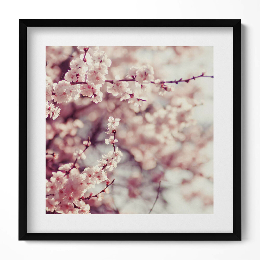 Obraz v rámu efektivní Kvetoucí jarní květiny