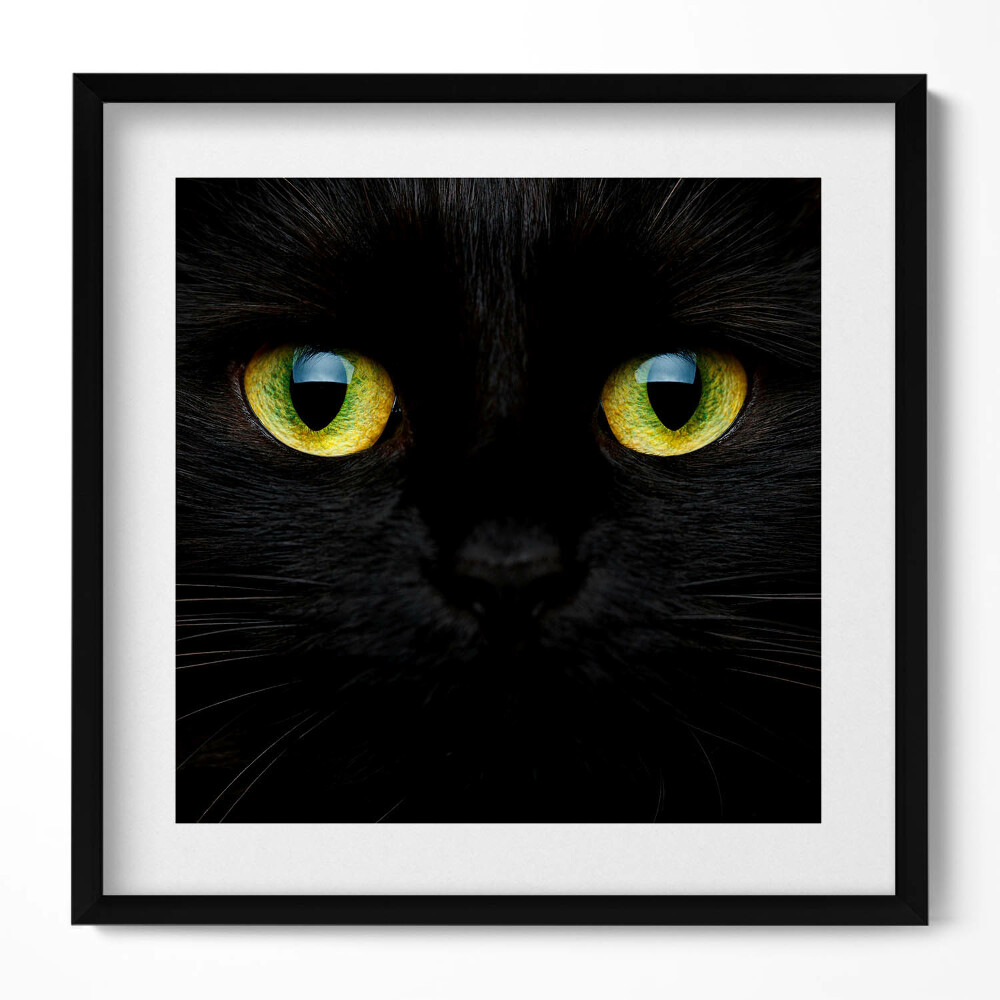 Obraz v rámu efektivní Zvířecí kočičí oči