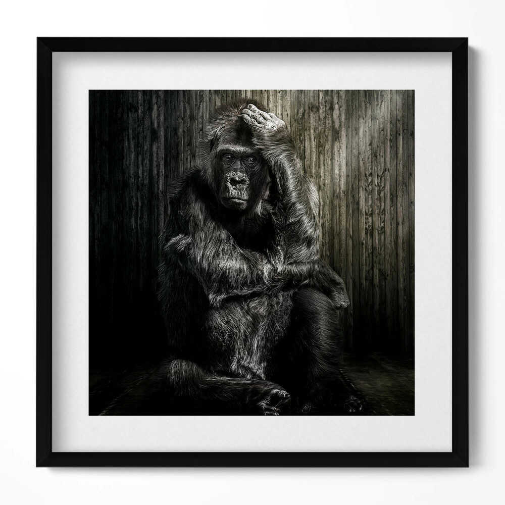 Obraz v rámu efektivní Opice dumající ve stínu