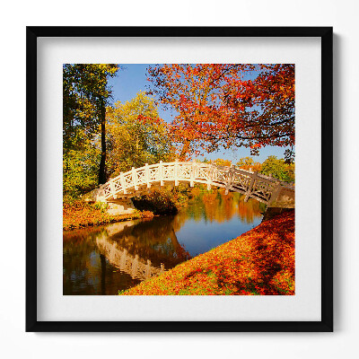 Obraz v rámu efektivní Woerlitzer Park ve zlatém podzimu