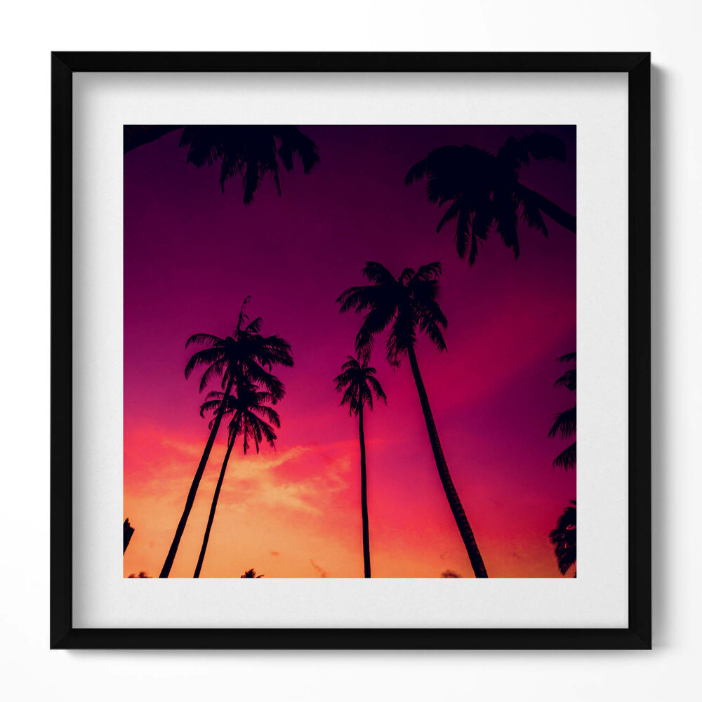 Obraz v rámu efektivní Palmy při západu slunce