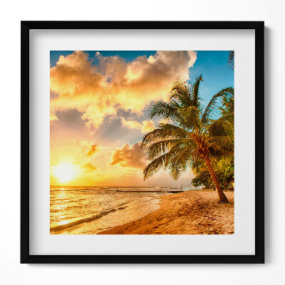 Obraz v rámu efektivní Palmy pláž a moře při západu slunce