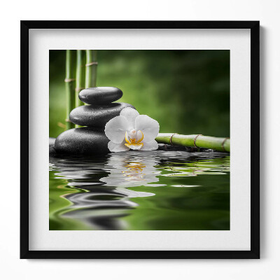 Obraz v rámu efektivní Zen - bambusové kameny a květina na vodě