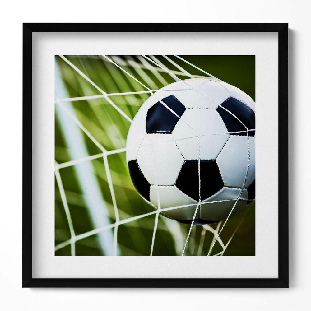 Obraz v rámu efektivní Míč je v brance