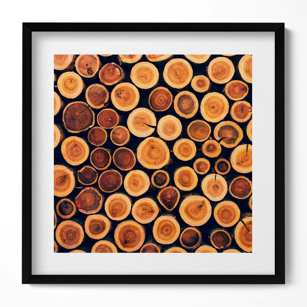 Obraz v rámu efektivní Dřevo, pařezy